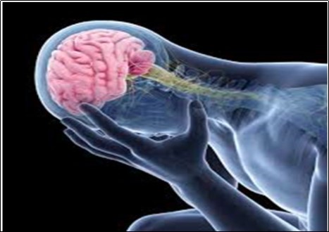Brain functions
