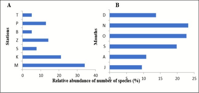 International Marine Science Journal-flatfishes