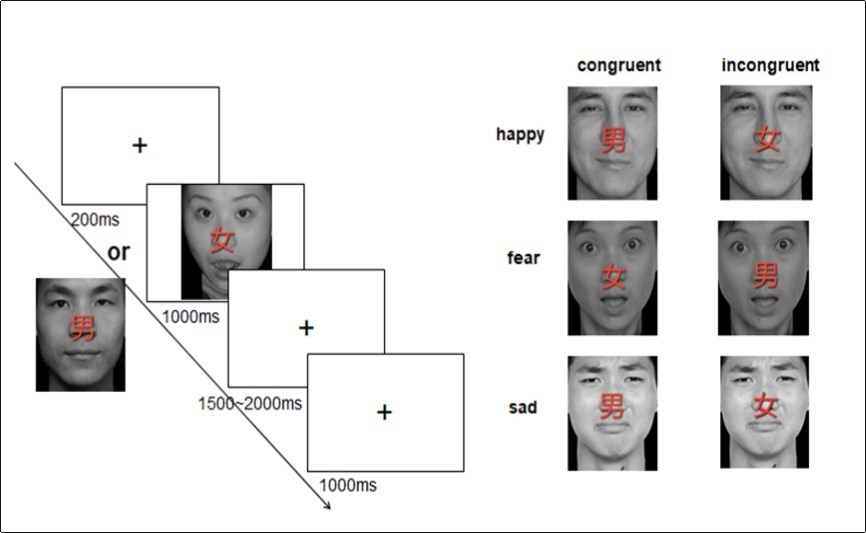 International Journal of Psychotherapy Practice and Research-Conflict Control?face-word Stroop task?Emotional implicit processing?Emotional conflict.