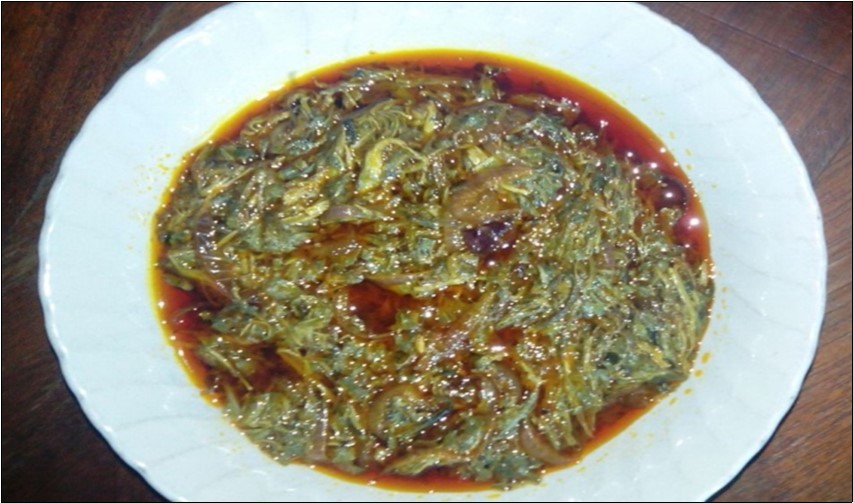 International Journal of Nutrition-Ceiba pentandraleaf
