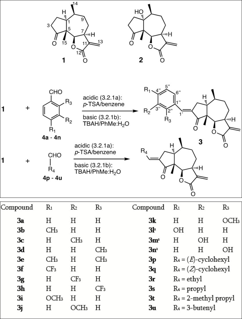 Journal of Advanced Pharmaceutical Science And Technology -MCF-10A