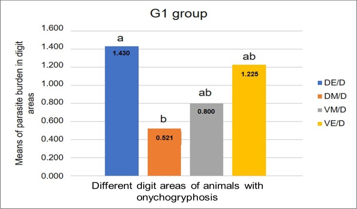 Journal of Veterinary Healthcare-onychogryphosis