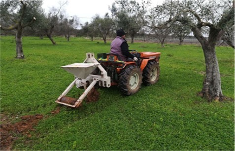 Journal of Agronomy Research-Olive
