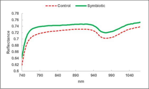 Journal of Agronomy Research-Olive