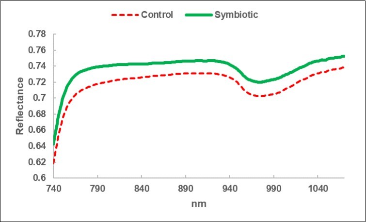 Journal of Agronomy Research-Olive