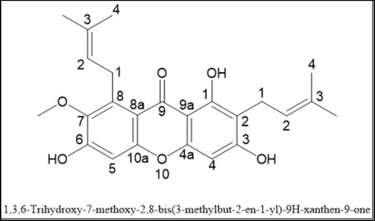 International Journal of Nutrition-cancer