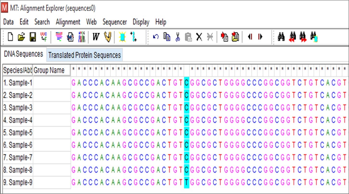rpoB Gene