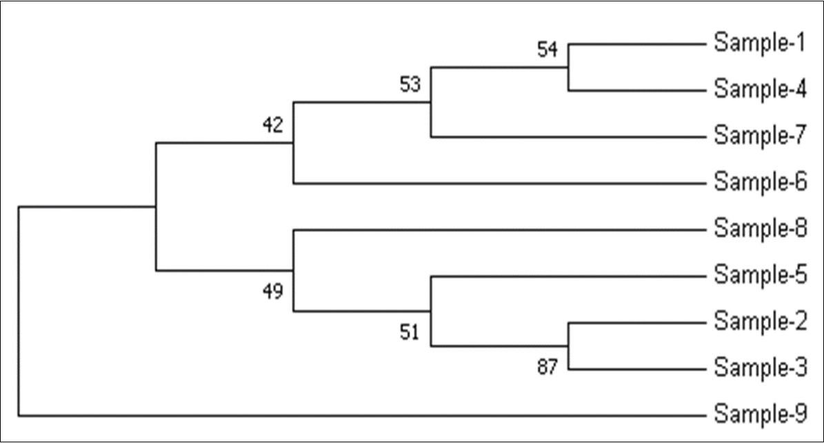 rpoB Gene