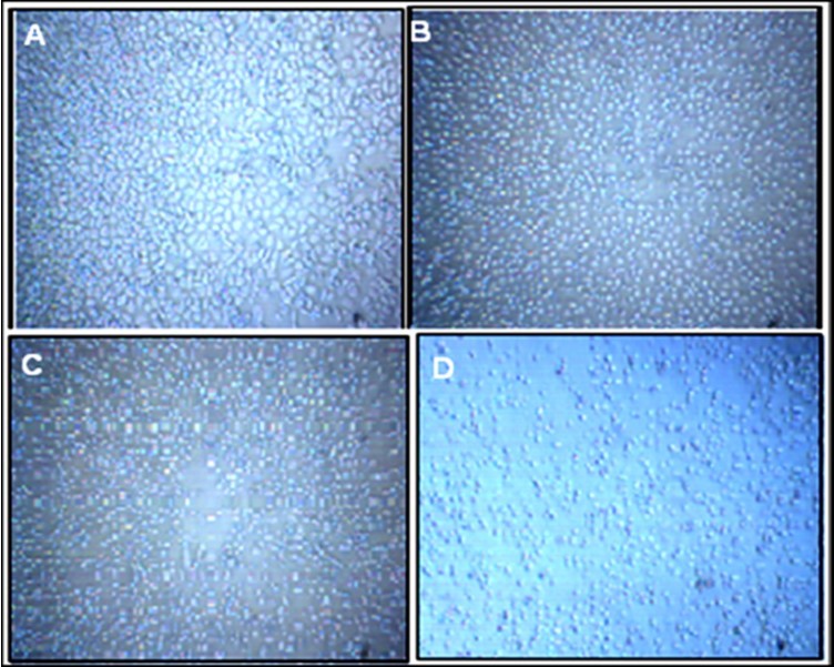 Journal of Biotechnology and Biomedical Science-Bisphosphonates
