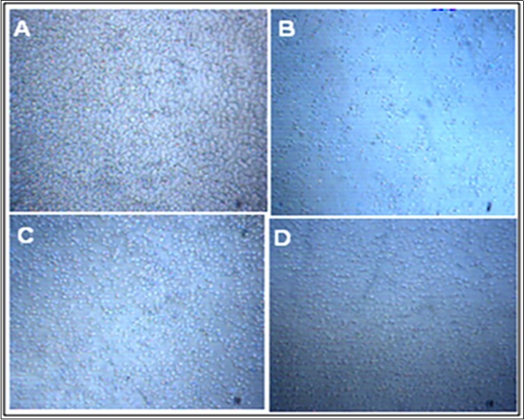 Journal of Biotechnology and Biomedical Science-Bisphosphonates