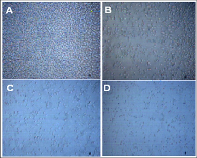 Journal of Biotechnology and Biomedical Science-Bisphosphonates
