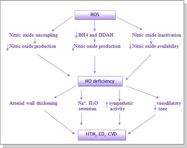 Journal of Antioxidant Activity-Metabolic syndrome