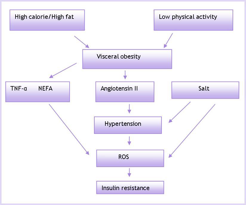 Journal of Antioxidant Activity-Metabolic syndrome