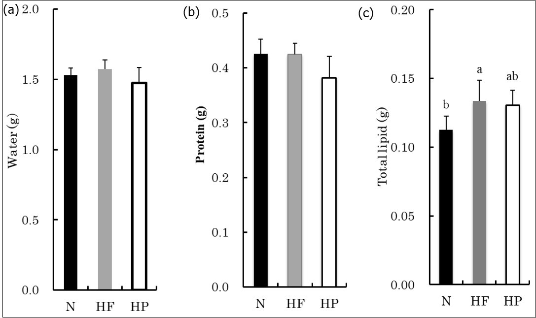 International Journal of Nutrition-sports nutrition