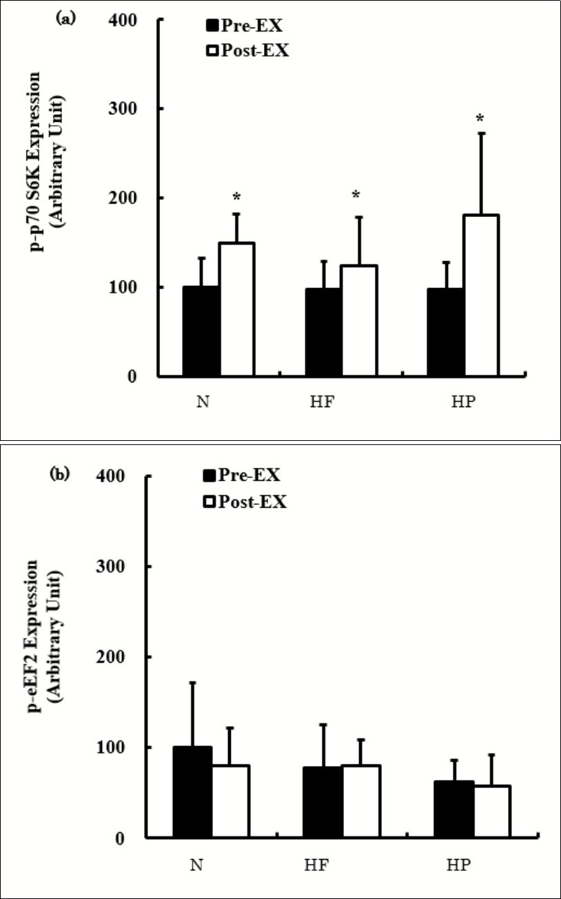 International Journal of Nutrition-sports nutrition