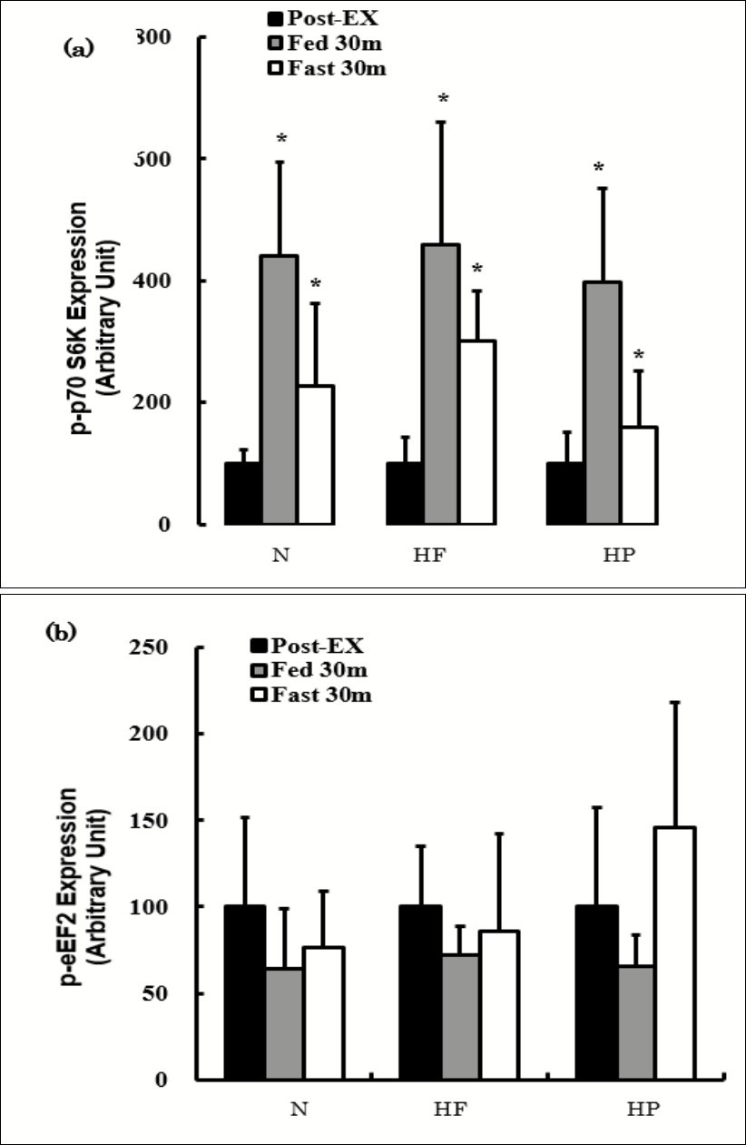 International Journal of Nutrition-sports nutrition