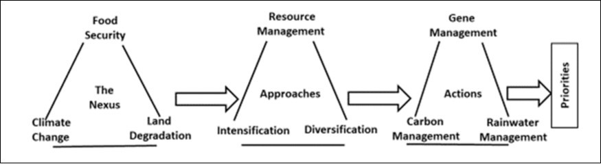Journal of Agronomy Research-Summer monsoons