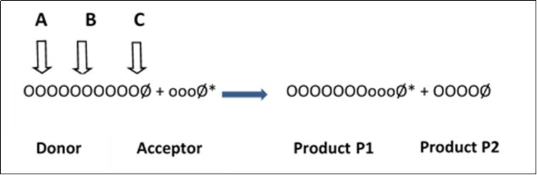 Journal of Plant Cell Development-polysaccharides