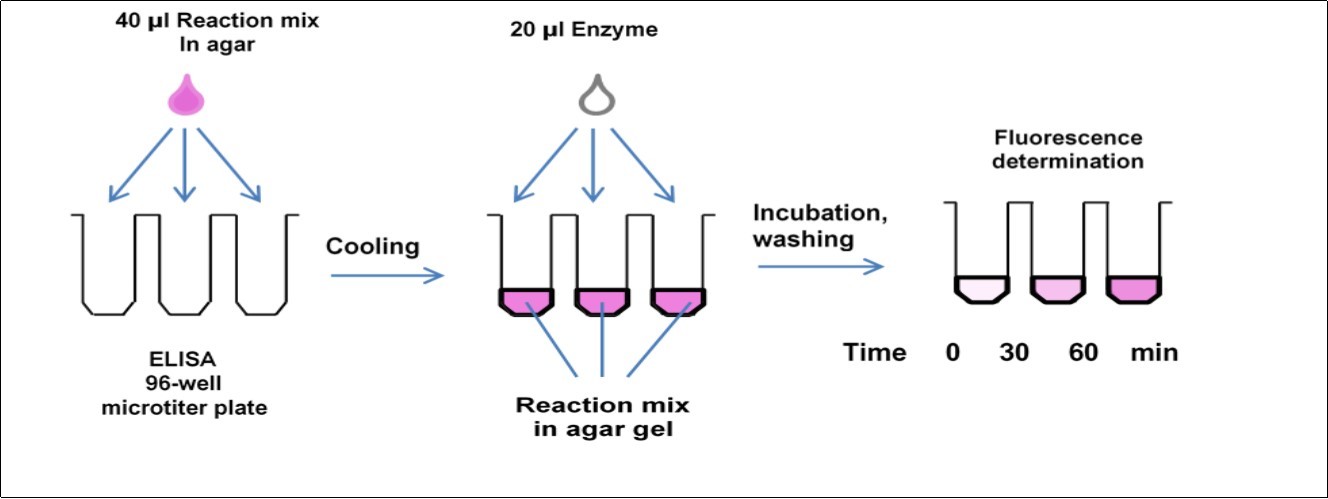 Journal of Plant Cell Development-polysaccharides