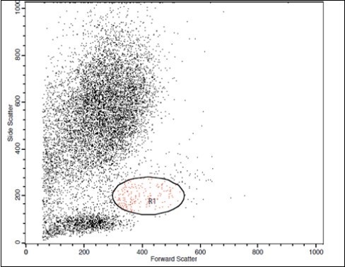 Journal of Hematalogy and Oncology Research-TEM