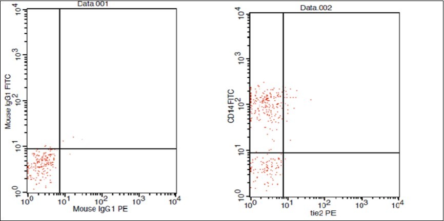 Journal of Hematalogy and Oncology Research-TEM
