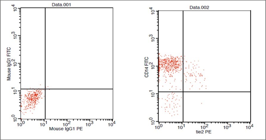 Journal of Hematalogy and Oncology Research-TEM