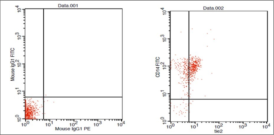 Journal of Hematalogy and Oncology Research-TEM