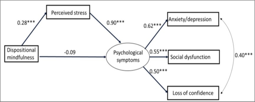 International Journal of Psychotherapy Practice and Research-Gastrointestinal Cancer