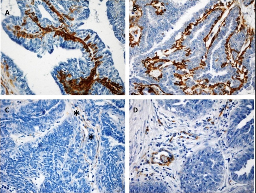 Journal of Veterinary Healthcare-carcinoma