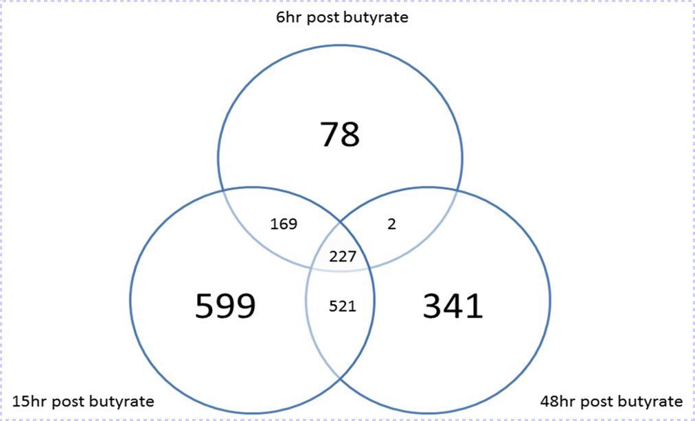 Journal of Proteomics and Genomics Research-butyrate