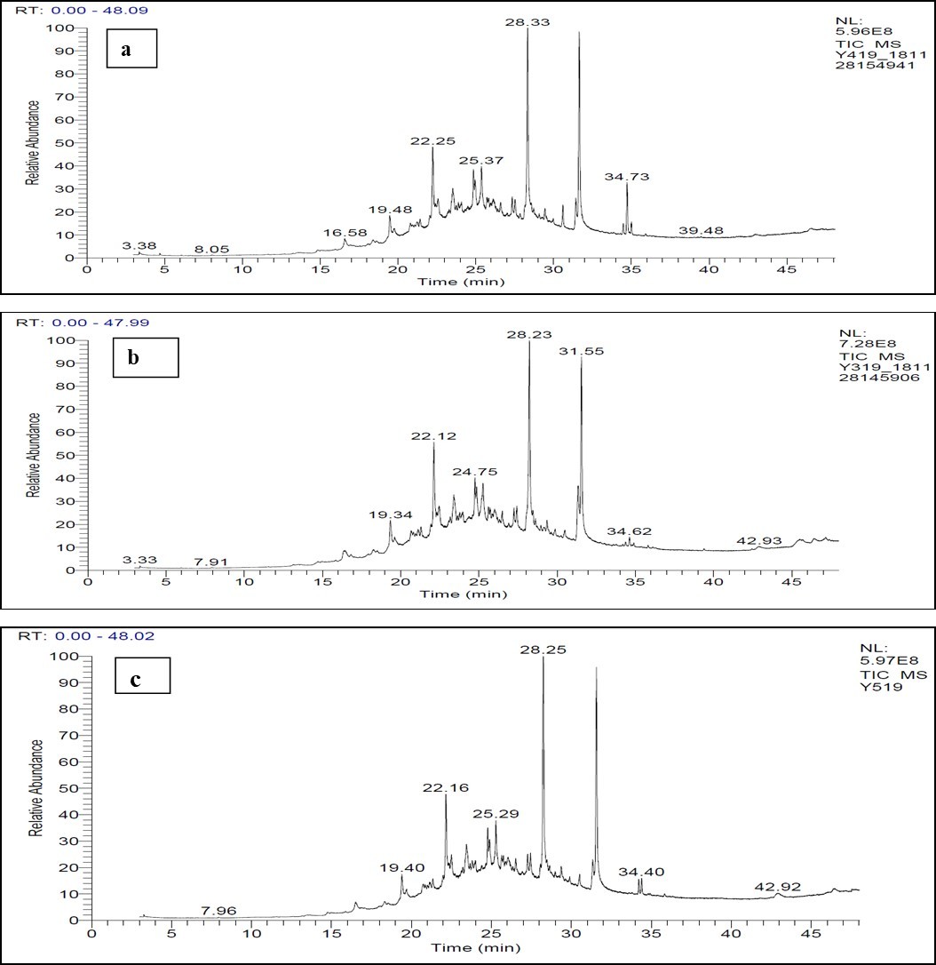 International Journal of Nutrition-Verdolaga