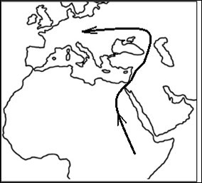Hardy-Weinberg’s law