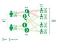 International Journal of Infection Prevention-Genetic Multiplicity