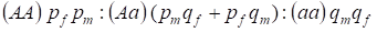 Hardy-Weinberg’s law