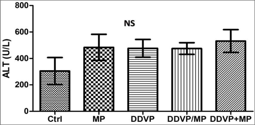 International Journal of Human Anatomy-Histochemical
