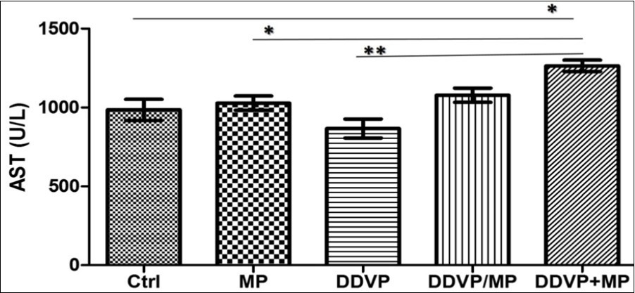 International Journal of Human Anatomy-Histochemical