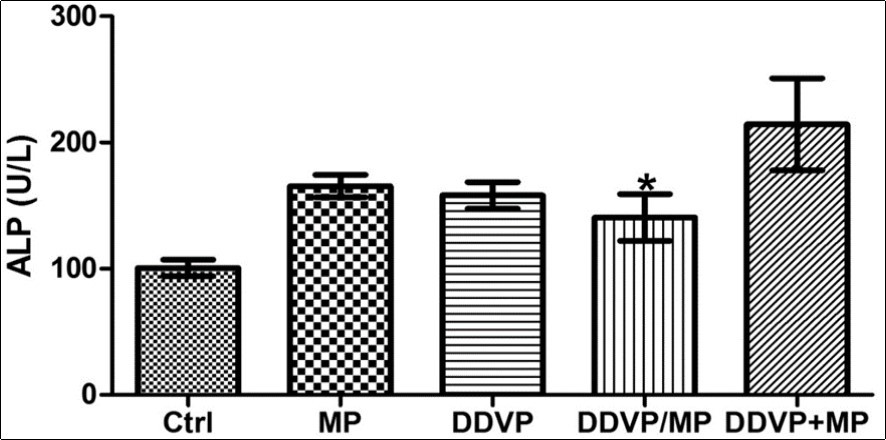 International Journal of Human Anatomy-Histochemical
