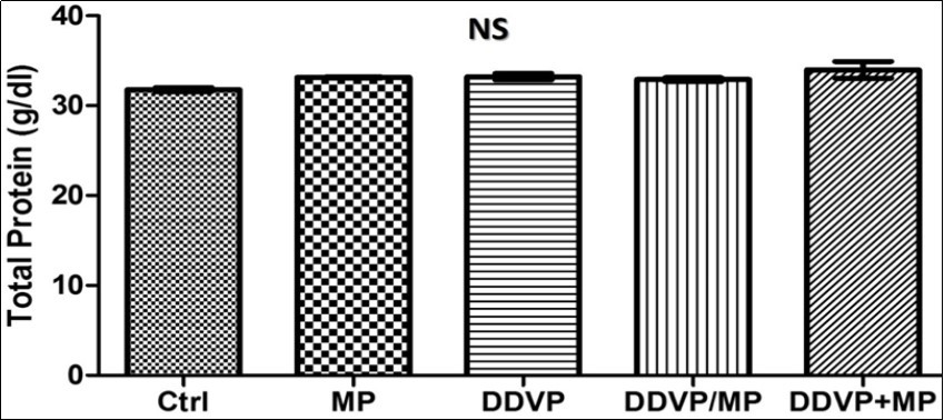 International Journal of Human Anatomy-Histochemical