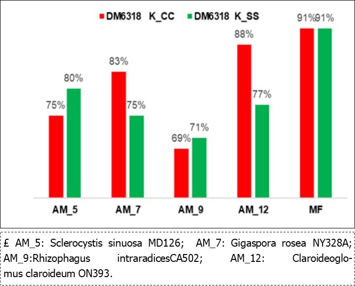 Journal of Agronomy Research-Biofertilizers