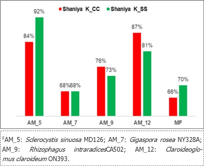 Journal of Agronomy Research-Biofertilizers