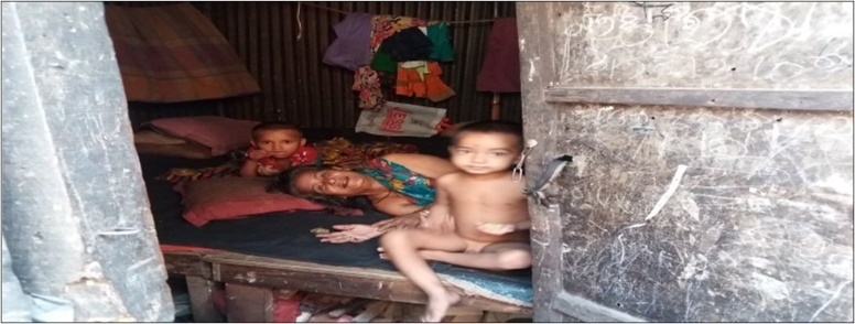 Journal of Aging Research And Healthcare-Climate migrants