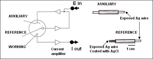 Journal of New Developments in Chemistry-vivo methodology