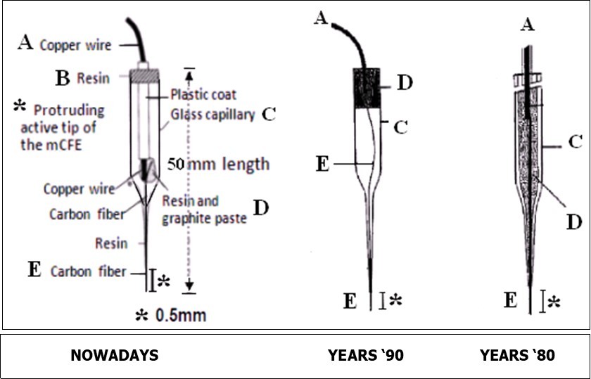 Journal of New Developments in Chemistry-vivo methodology
