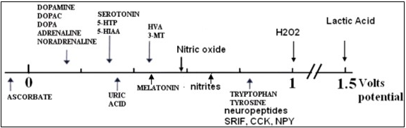 Journal of New Developments in Chemistry-vivo methodology