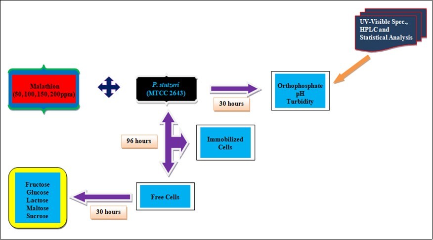 Journal of Public Health International-Biodegradation