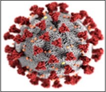 International Journal of Coronaviruses-COVID-19