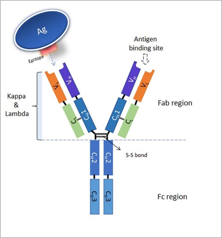 International Journal of Coronaviruses-Single or Pooled Convalescent Immune Plasma