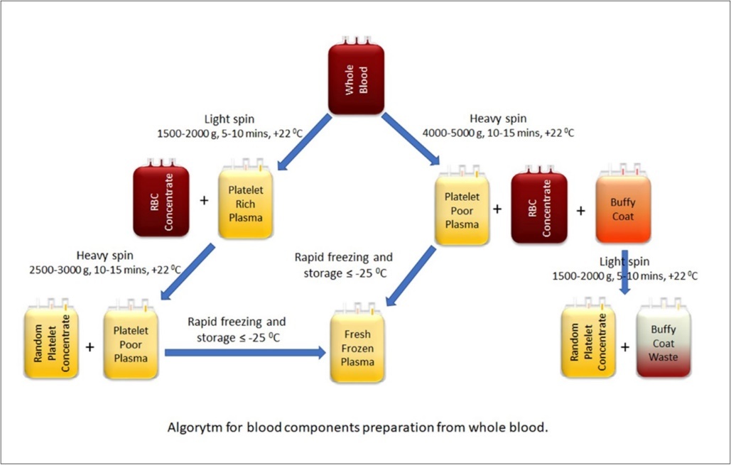 International Journal of Coronaviruses-Single or Pooled Convalescent Immune Plasma