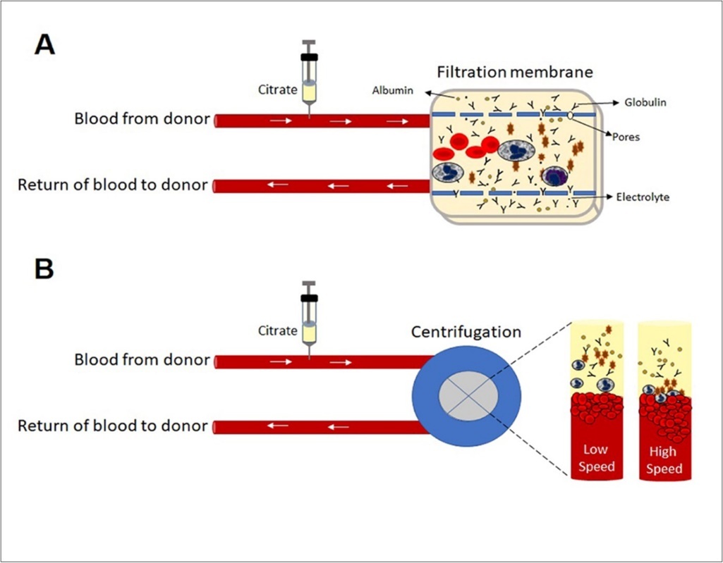 International Journal of Coronaviruses-Single or Pooled Convalescent Immune Plasma