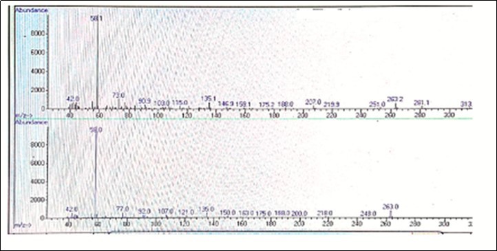 Journal of New Developments in Chemistry-Morphine